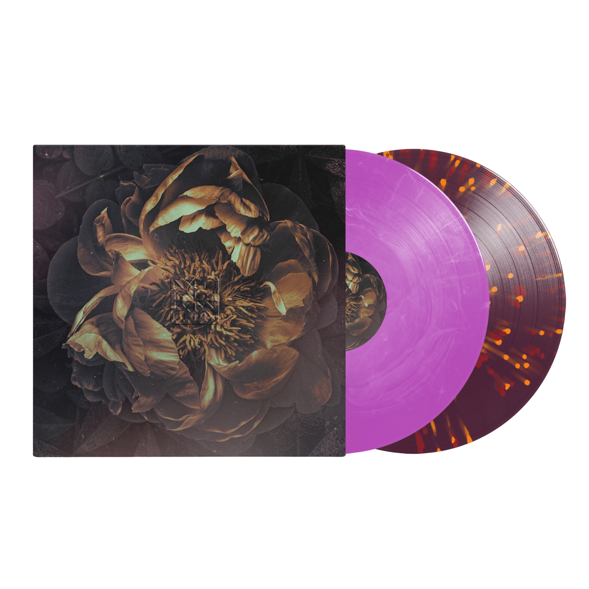 The Contortionist: Retrospective: Live from Atlanta Vinyl LP Box Set Our Bones Clairvoyant Exoplanet Intrinsic MNRK Heavy Reimagined
