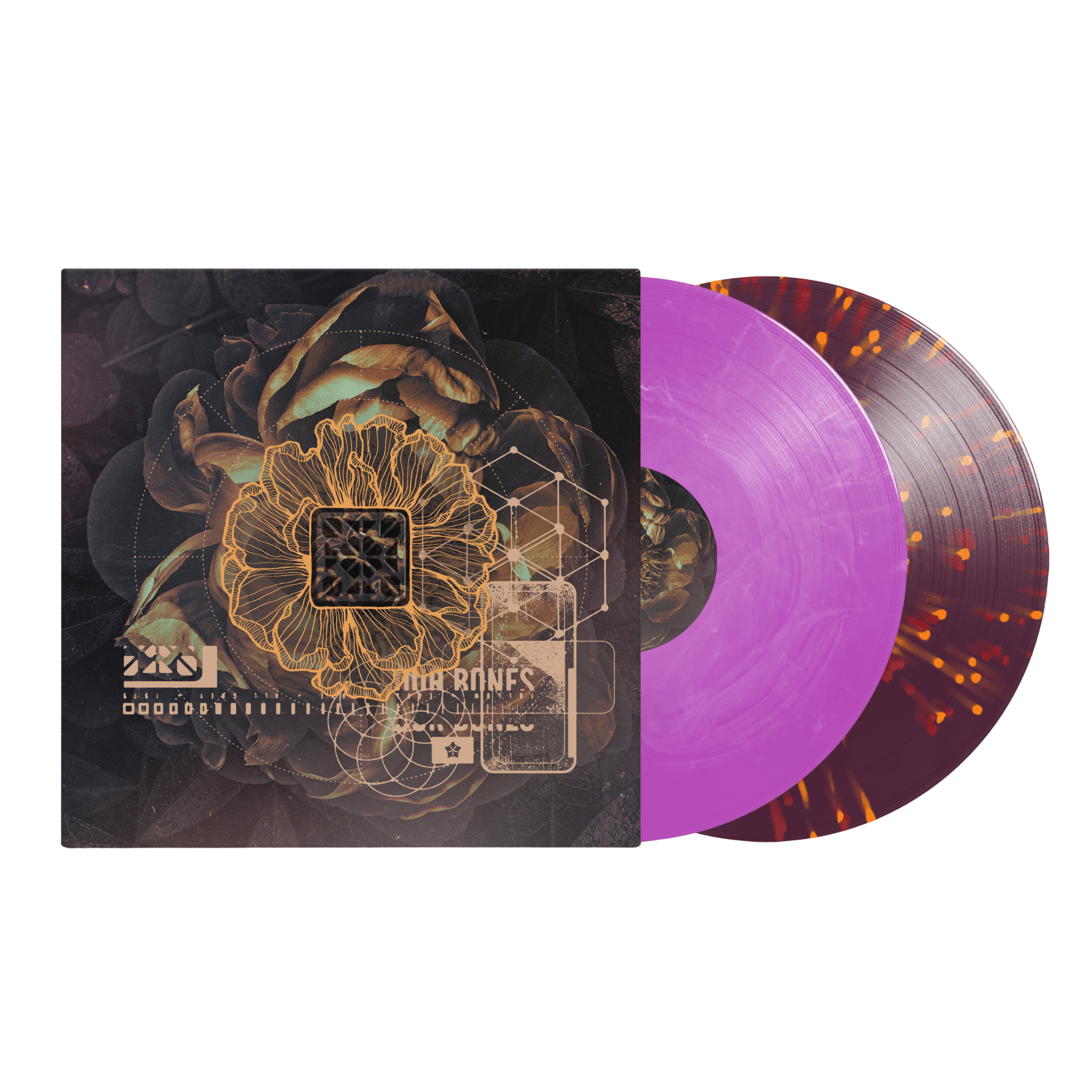 The Contortionist: Retrospective: Live from Atlanta Vinyl LP Box Set Our Bones Clairvoyant Exoplanet Intrinsic MNRK Heavy Reimagined