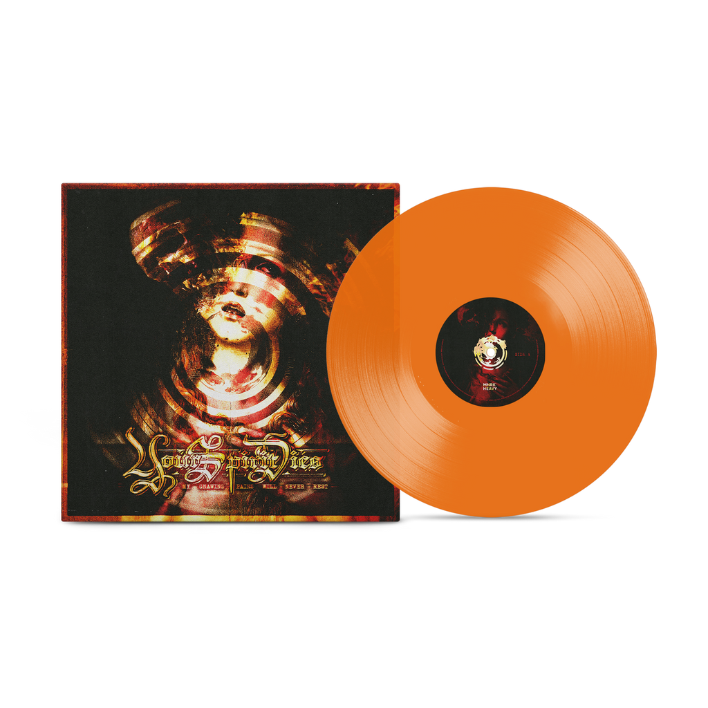 THE COMES「POWER NEVER DIE」LP The Comes – Power Never Die – Vinyl (12