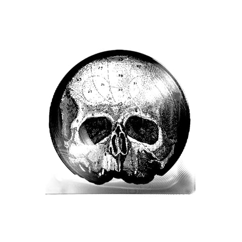 Black Label Society - Collector's Edition Skully 10