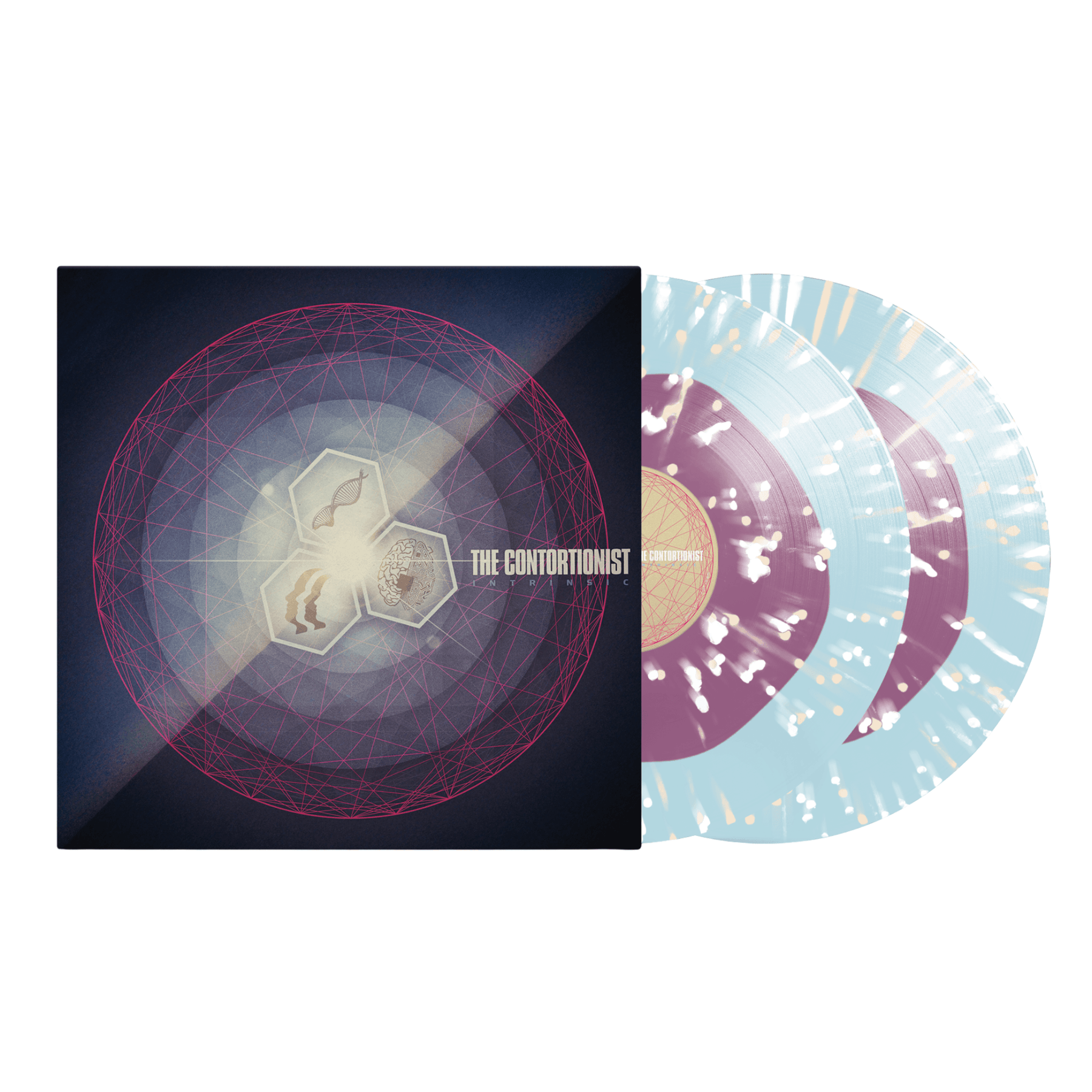 The Contortionist Official Label Store | Intrinsic Color in Color Vinyl ...