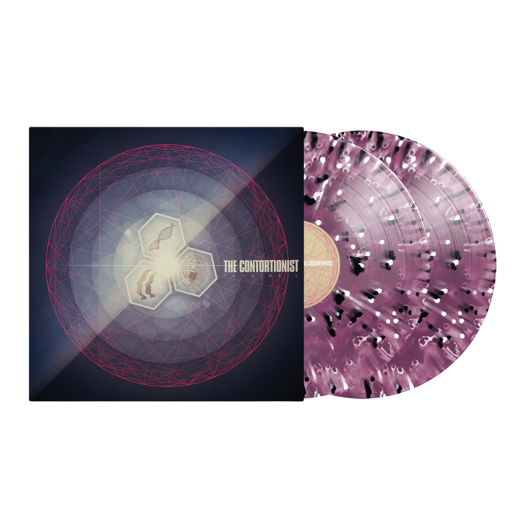 The Contortionist Official Label Store | Grape Ghost Splatter Vinyl ...